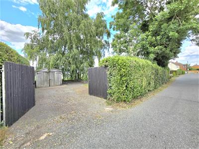 Picture 15
